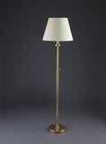 Transitional Floor Lamp